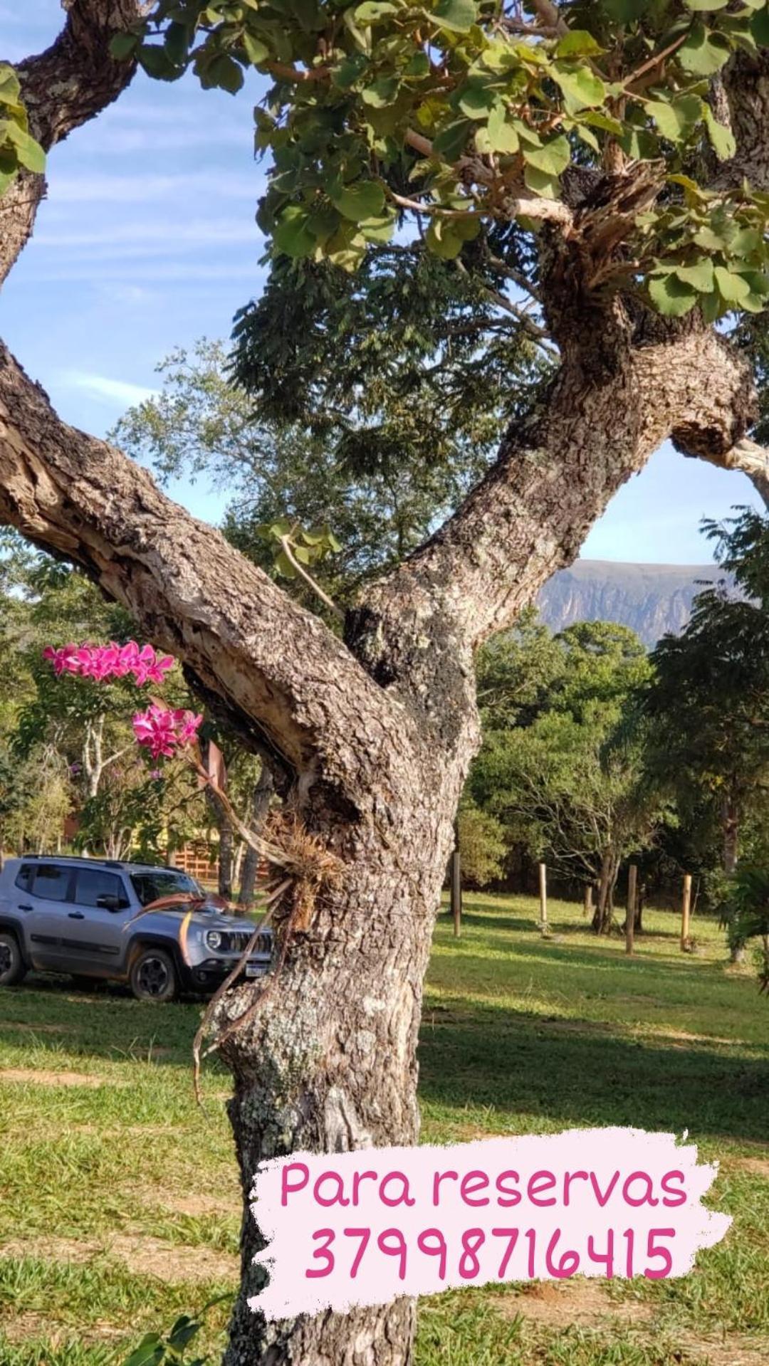 Pousada Aguas Da Canastra Vargem Bonita Buitenkant foto